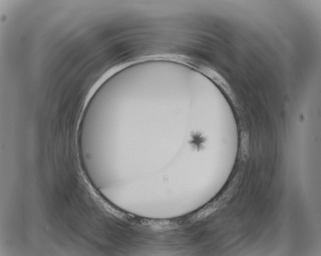 X0000085081428200704021425