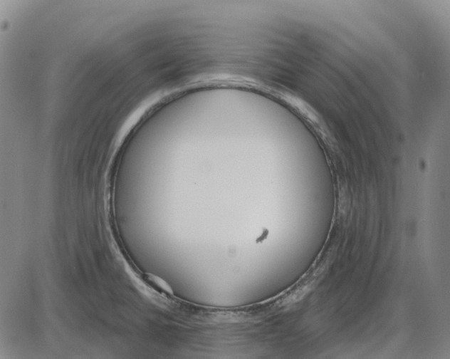 X0000085081430200704021425