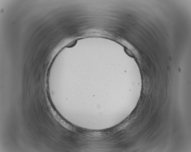 X0000085081431200704021425