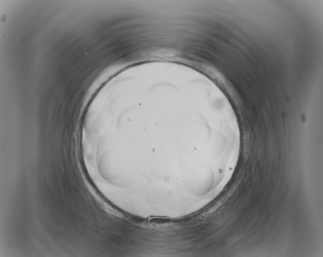 X0000085081432200704021425