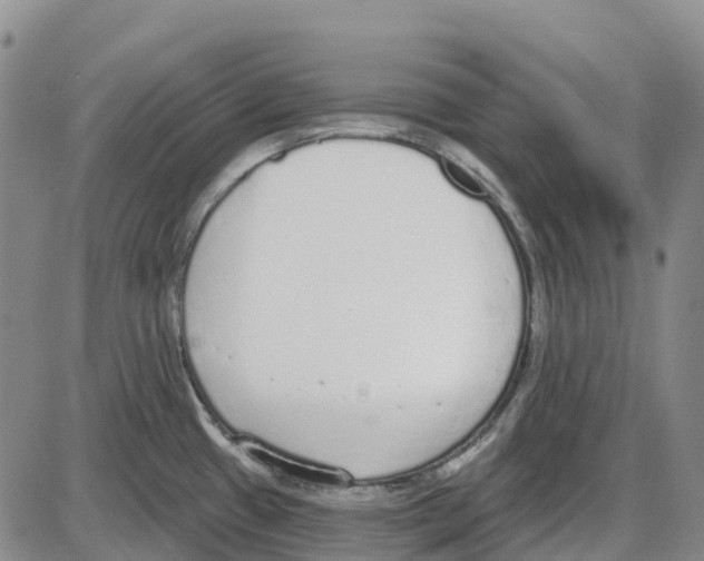 X0000085081433200704021425