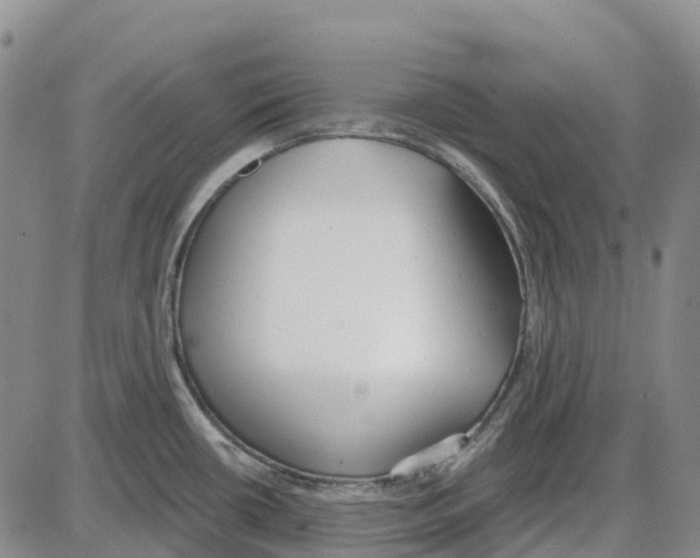 X0000085081434200704021425