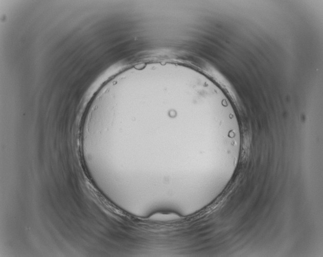 X0000085081435200704021425