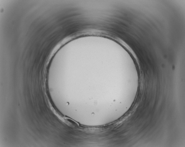 X0000085081437200704021425