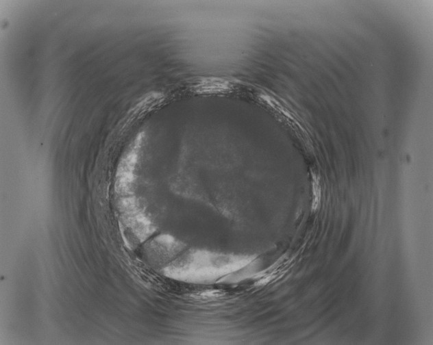 X0000085081441200704021424