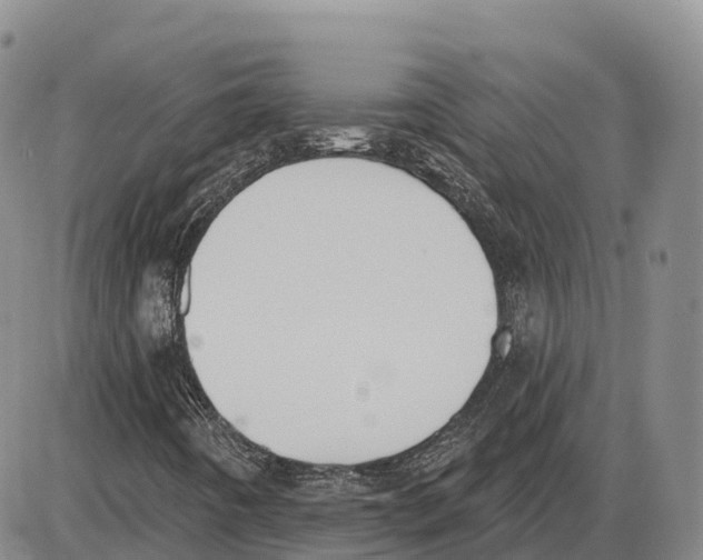 X0000085081442200704021424