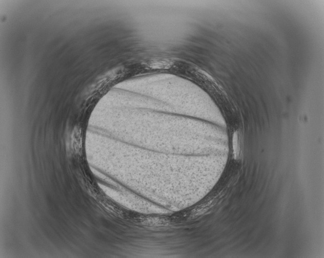 X0000085081443200704021424