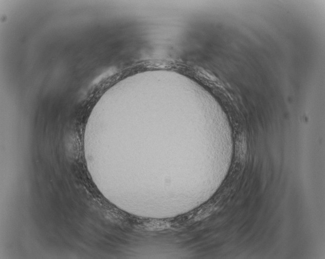 X0000085081446200704021424