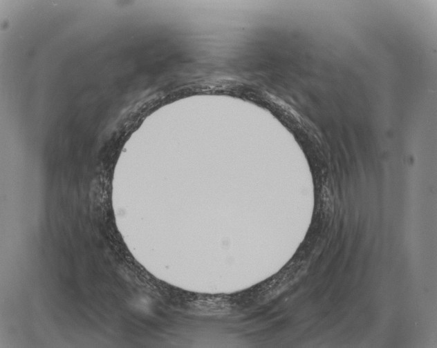 X0000085081447200704021424