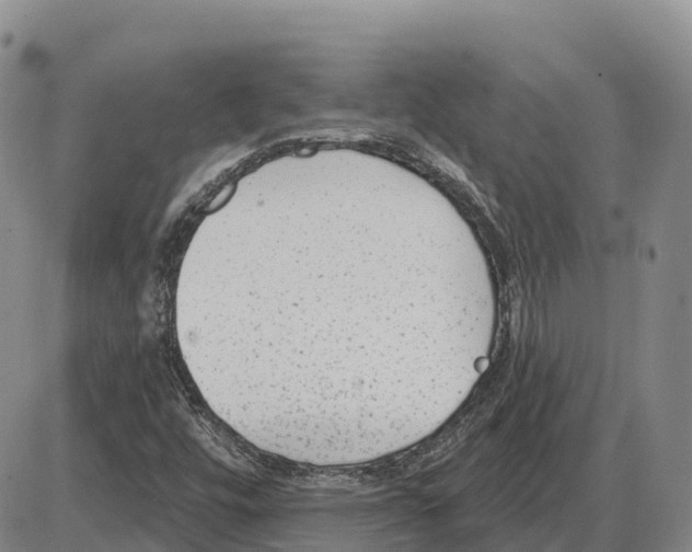 X0000085081448200704021424