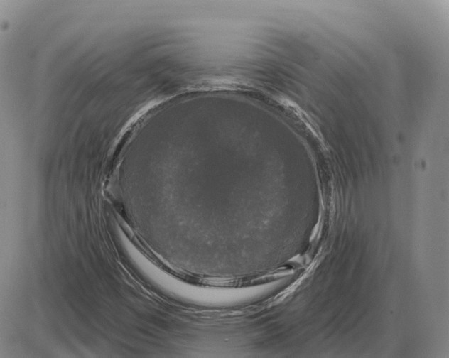 X0000085081449200704021424