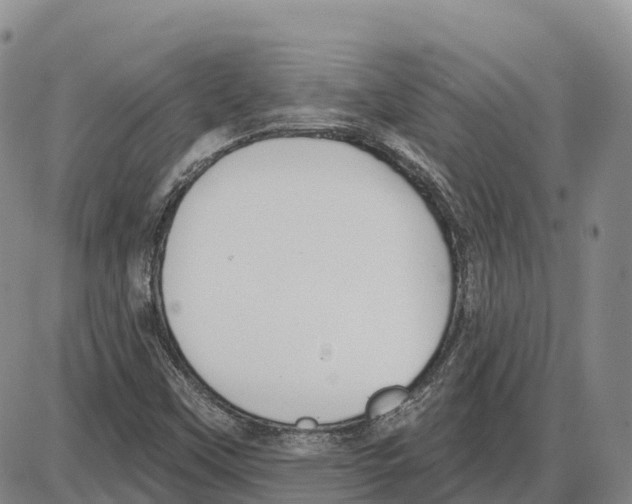 X0000085081451200704021424