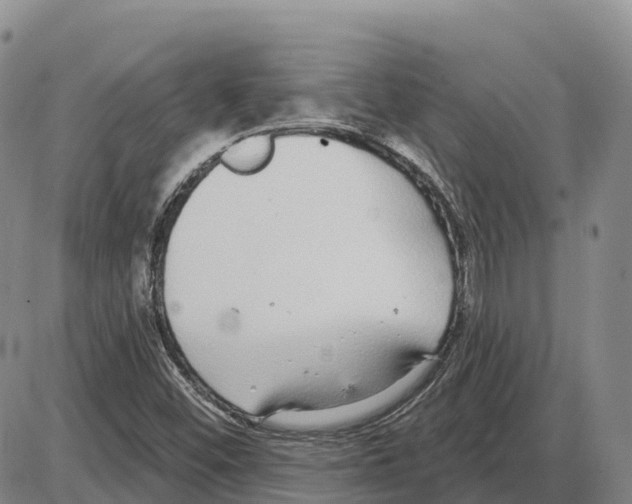 X0000085081452200704021424