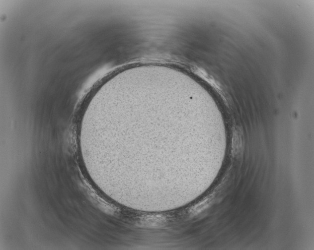 X0000085081454200704021424