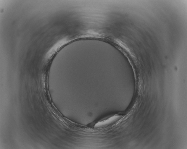 X0000085081455200704021424