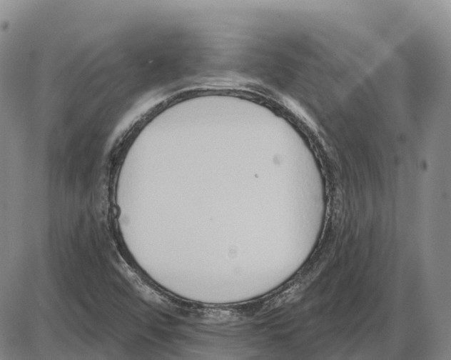 X0000085081456200704021424