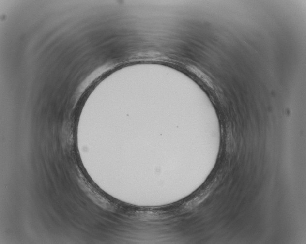 X0000085081458200704021424