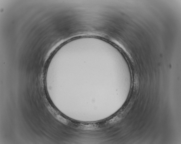 X0000085081460200704021424