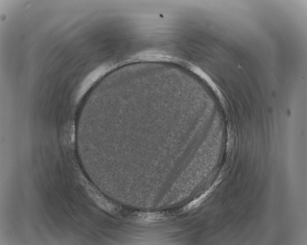 X0000085081461200704021424