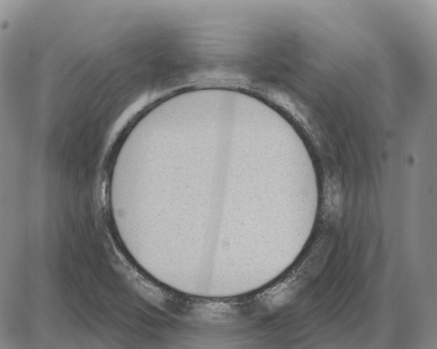 X0000085081462200704021424