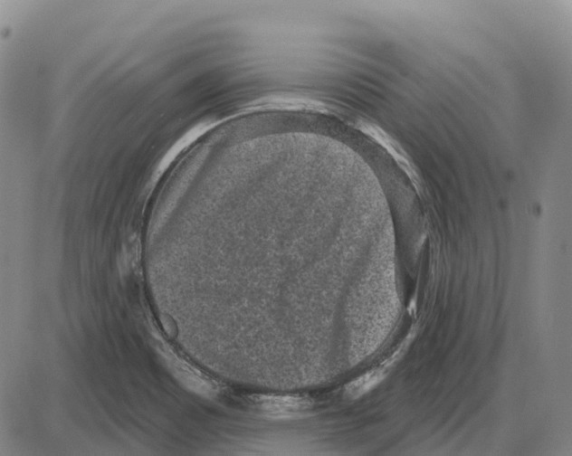 X0000085081465200704021424