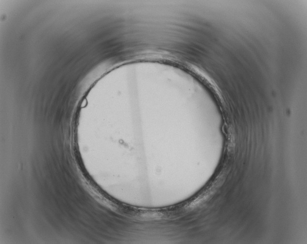 X0000085081467200704021424