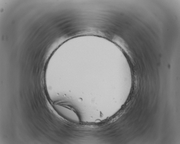 X0000085081468200704021424