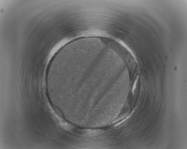 X0000085081469200704021424