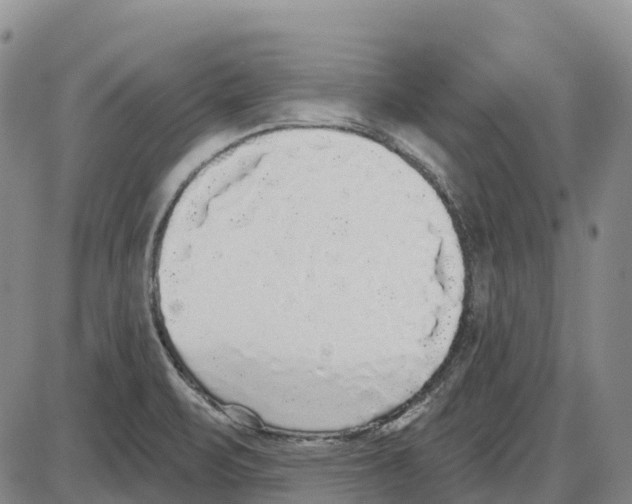 X0000085081471200704021424