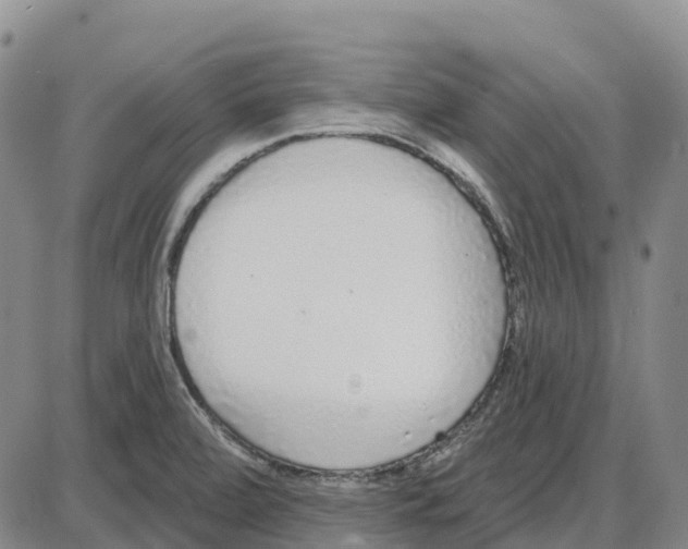 X0000085081472200704021424