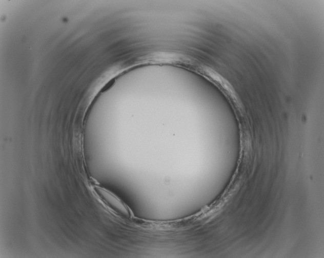 X0000085081473200704021424