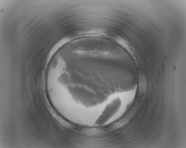 X0000085081474200704021424