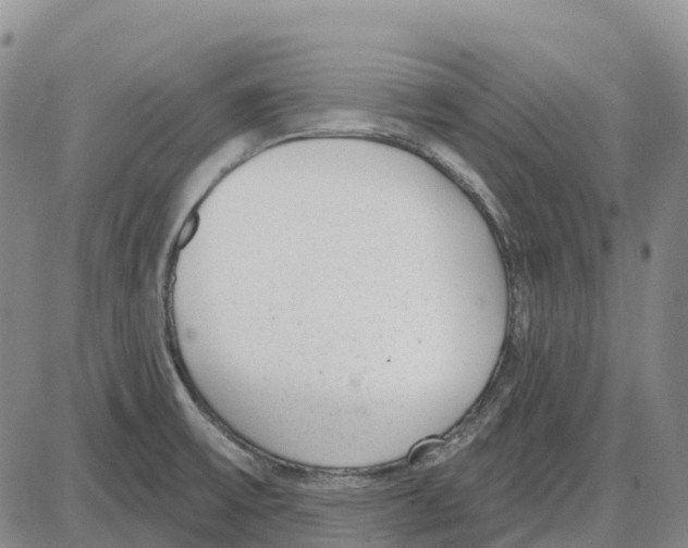 X0000085081475200704021424