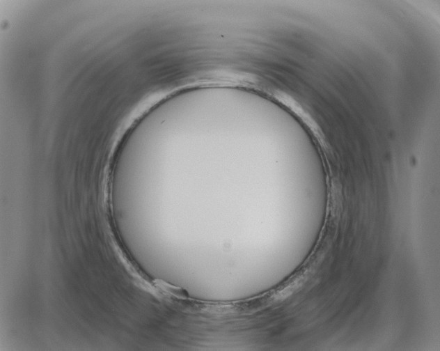 X0000085081477200704021424