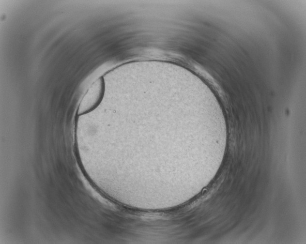 X0000085081479200704021424