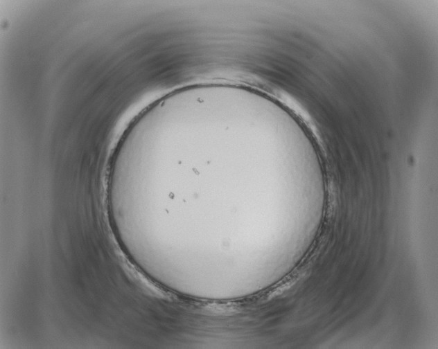 X0000085081480200704021424