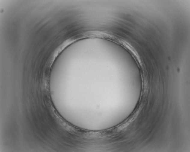 X0000085081481200704021424