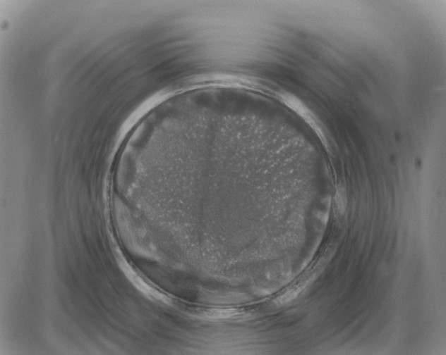 X0000085081482200704021424