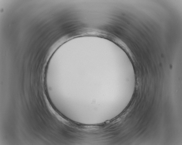 X0000085081483200704021424