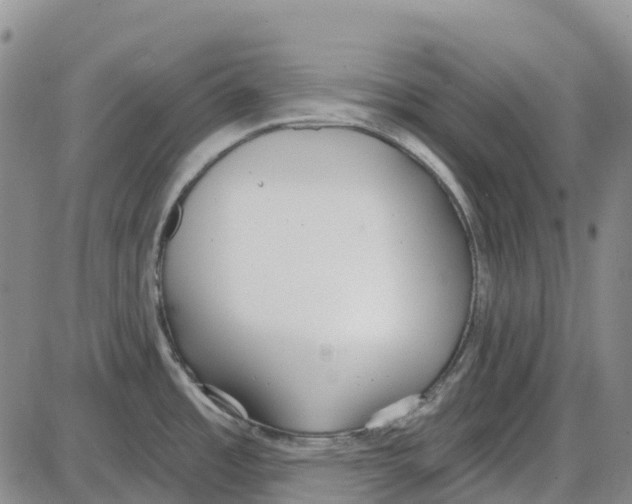 X0000085081485200704021424