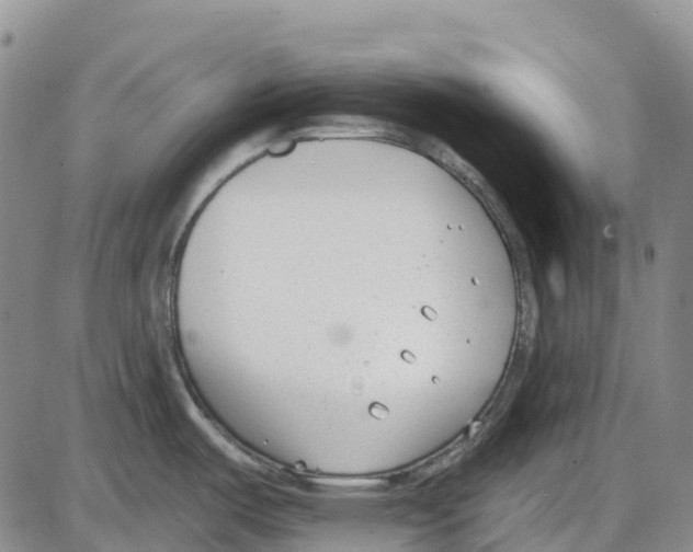 X0000085081487200704021424