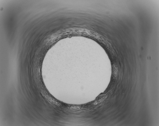 X0000085081489200704021423