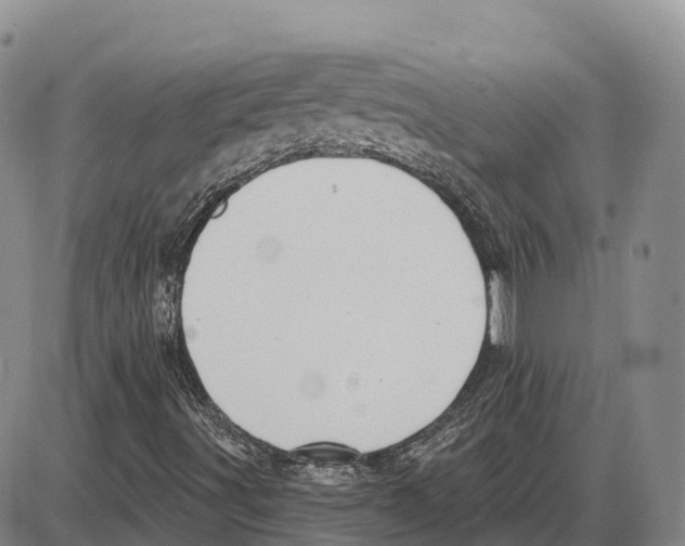 X0000085081491200704021423