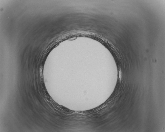 X0000085081492200704021423