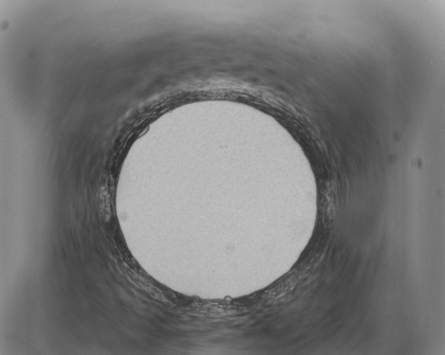 X0000085081493200704021423