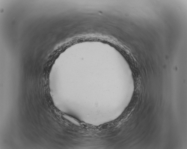 X0000085081494200704021423