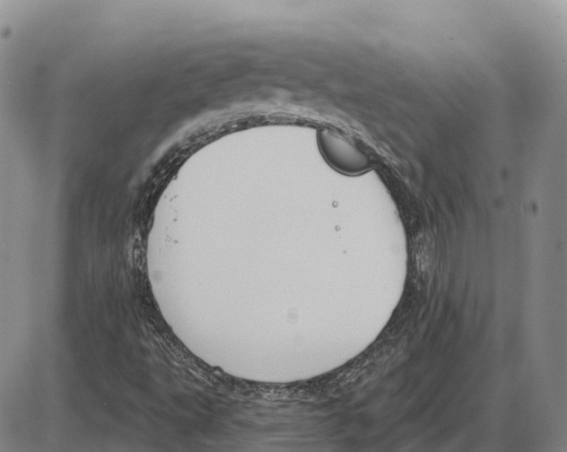 X0000085081495200704021423