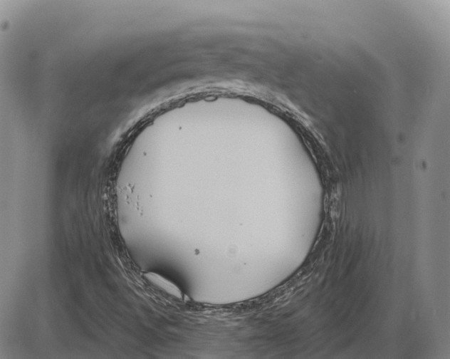 X0000085081496200704021423