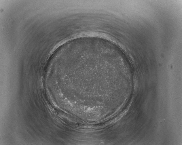 X0000085081497200704021423