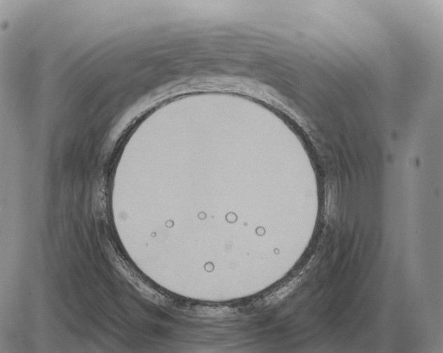 X0000085081498200704021423